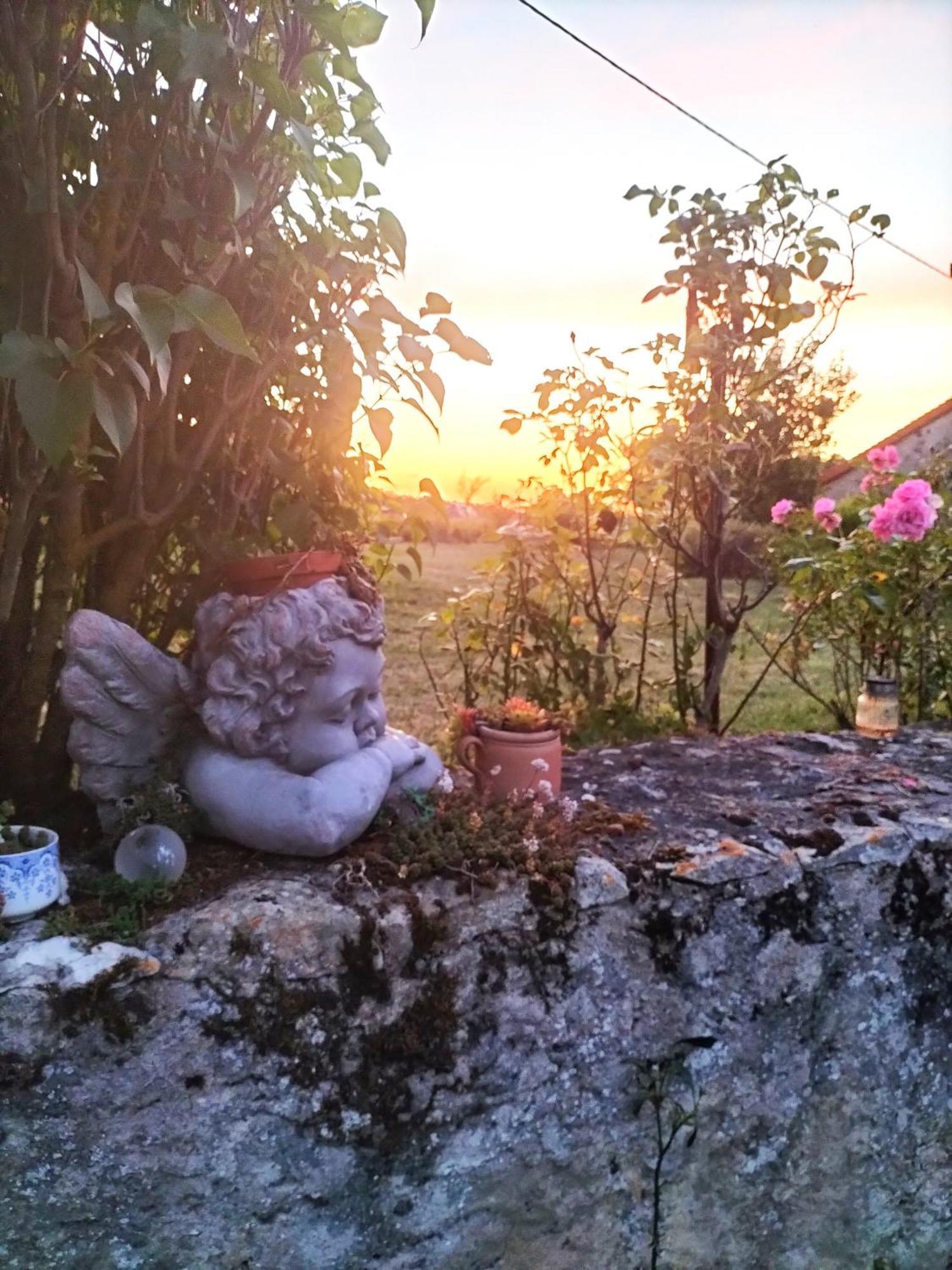 Charmante Maison, Calme Et Nature A La Roche Posay 外观 照片