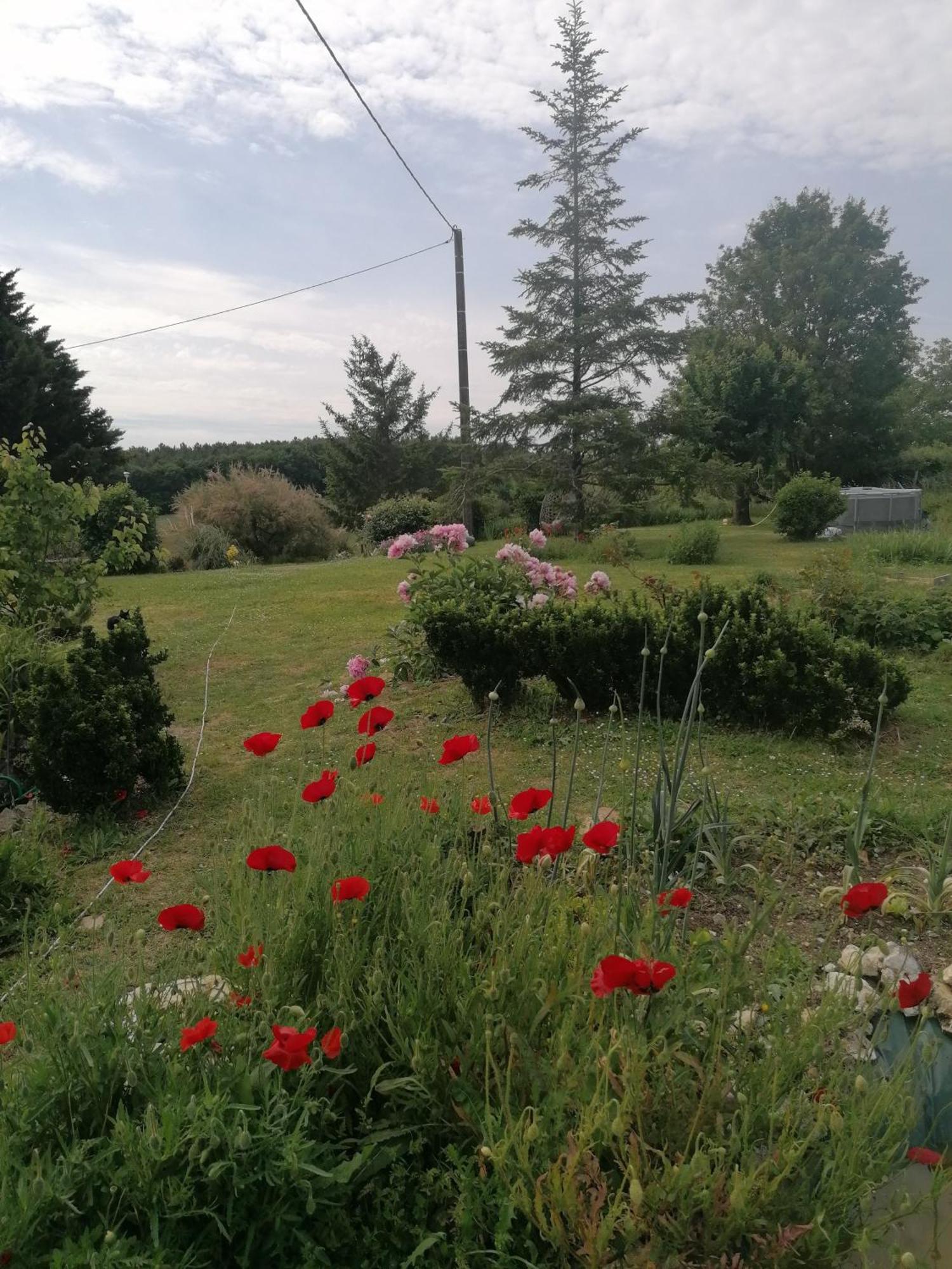 Charmante Maison, Calme Et Nature A La Roche Posay 外观 照片