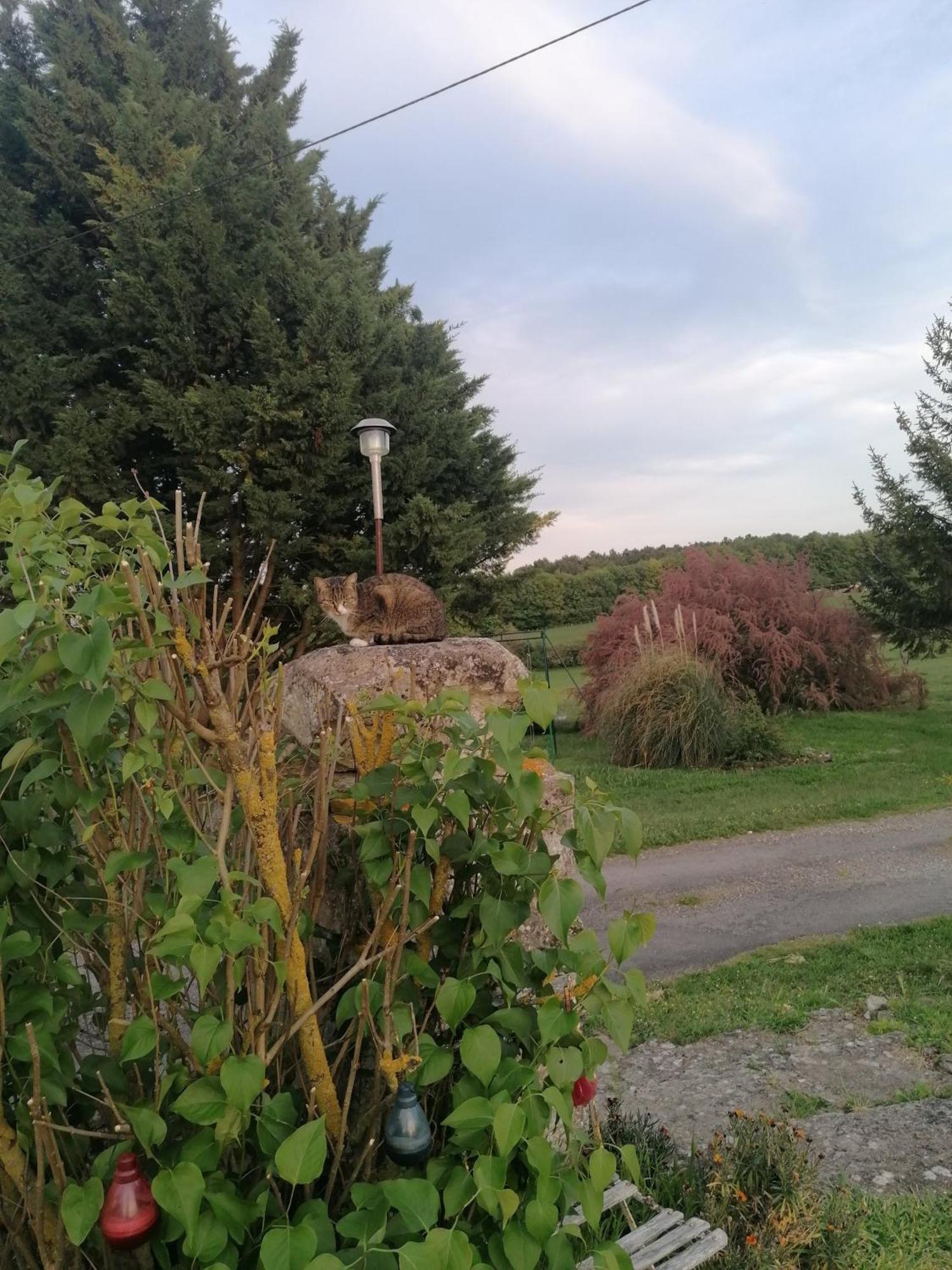 Charmante Maison, Calme Et Nature A La Roche Posay 外观 照片